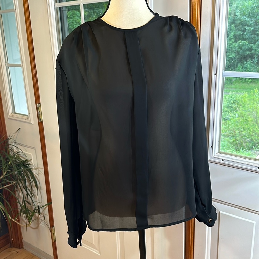 Vintage Ellen D Sheer Blouse